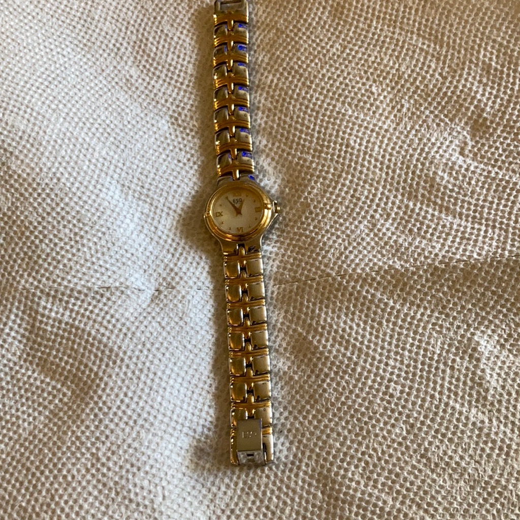 Authentic Esq Watch